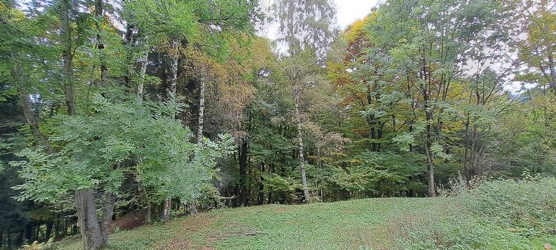 Rustico - Casa da monte in vendita a Sella Giudicarie