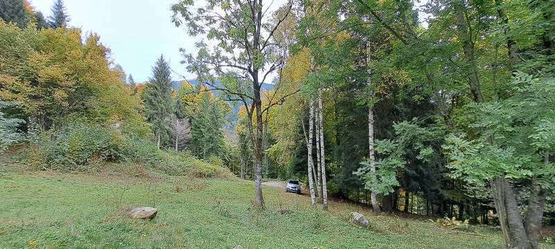 Rustico - Casa da monte in vendita a Sella Giudicarie