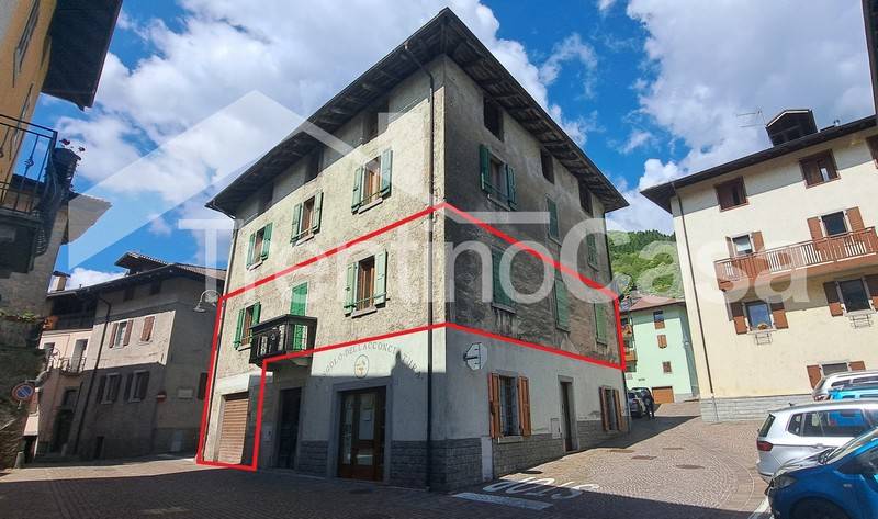 Appartamento 4Locale in vendita a Sella Giudicarie