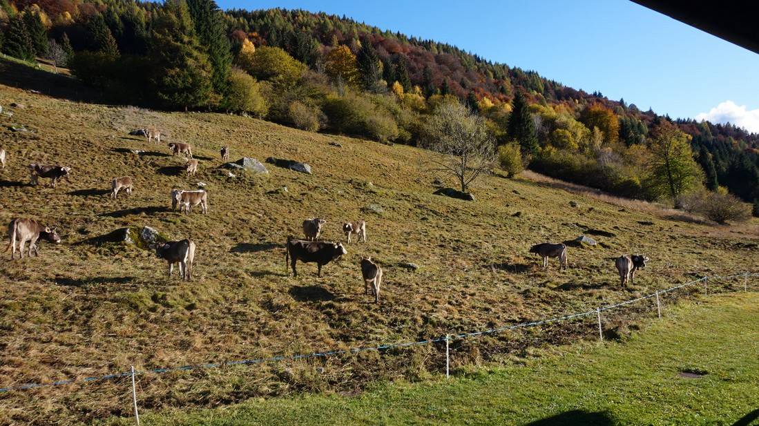 Rustico - Casa da monte in vendita a Castel Condino, Boniprati