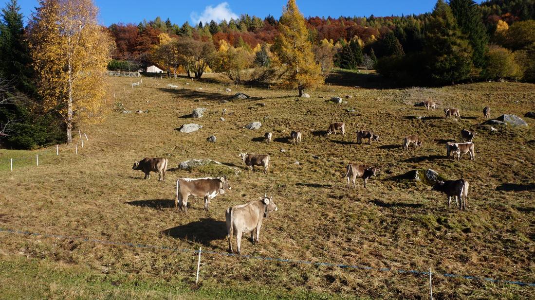 Rustico - Casa da monte in vendita a Castel Condino, Boniprati
