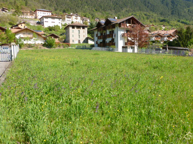 Terreno Edificabile Residenziale in vendita a Ragoli