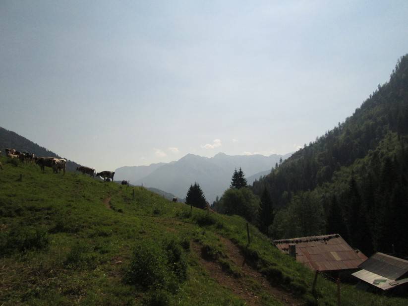 Rustico - Casa da monte in vendita a Roncone