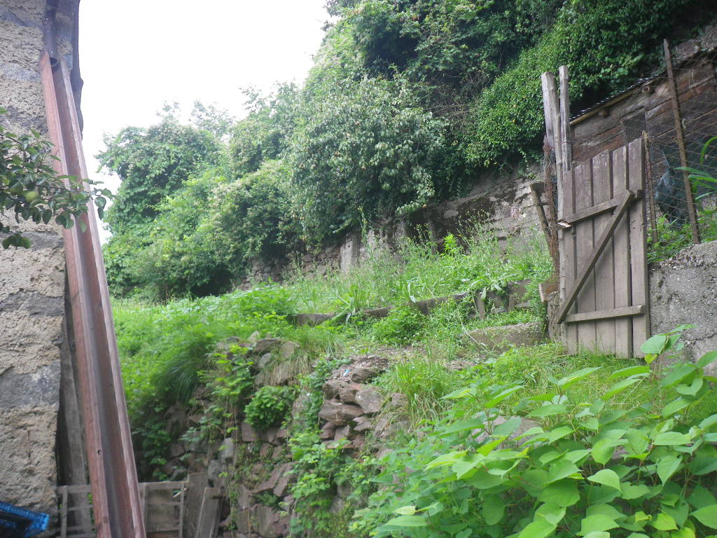 Porzione di casa in vendita a Daone