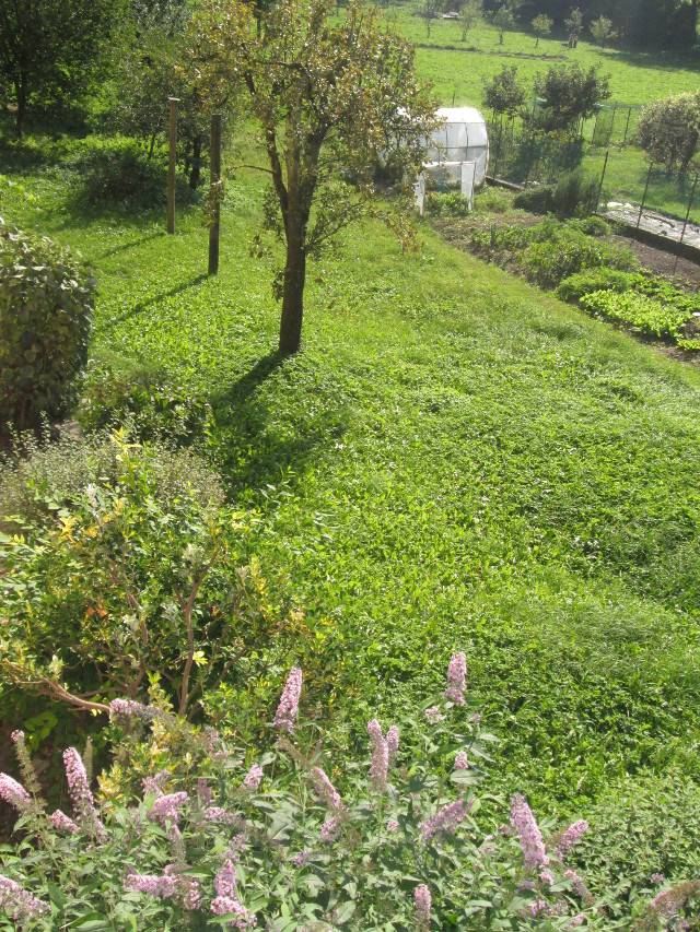 Casa Indipendente in vendita a Pieve di Bono-Prezzo