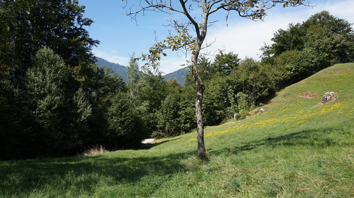 Rustico - Casa da monte in vendita a Condino