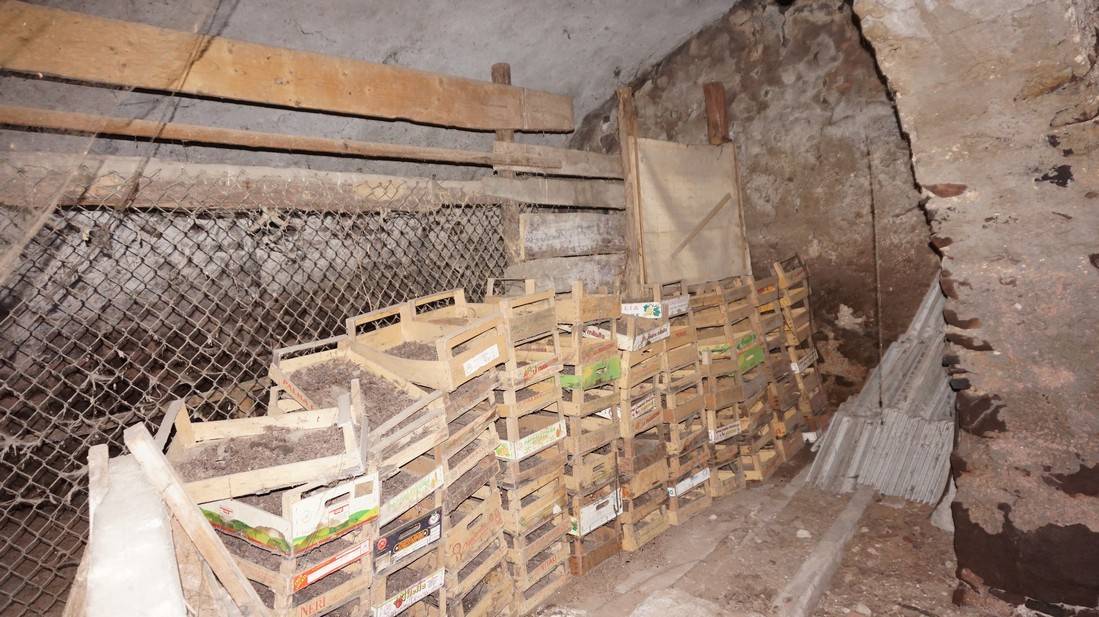 Casa Indipendente in vendita a Borgo Chiese