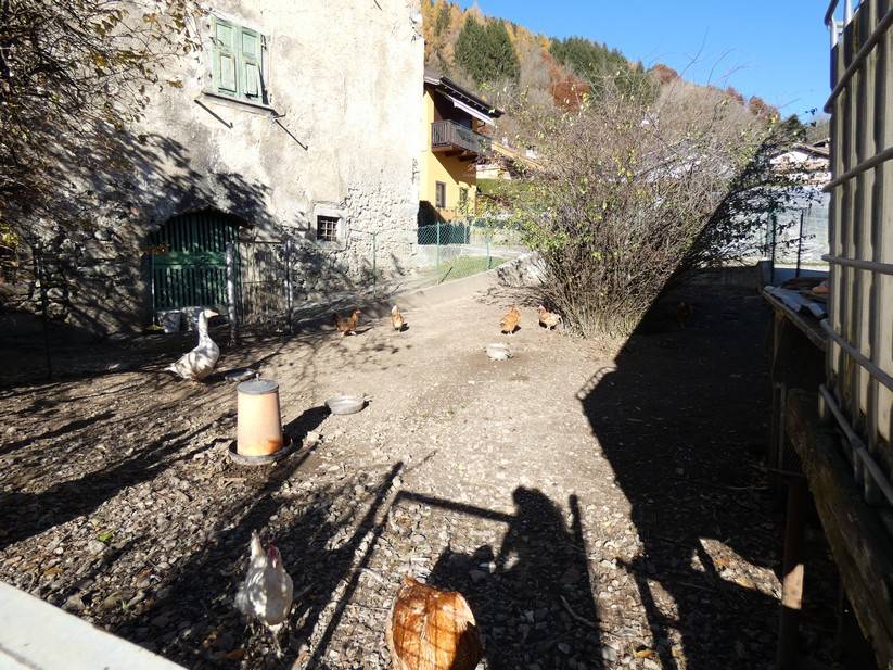 Casa Indipendente in vendita a Sella Giudicarie