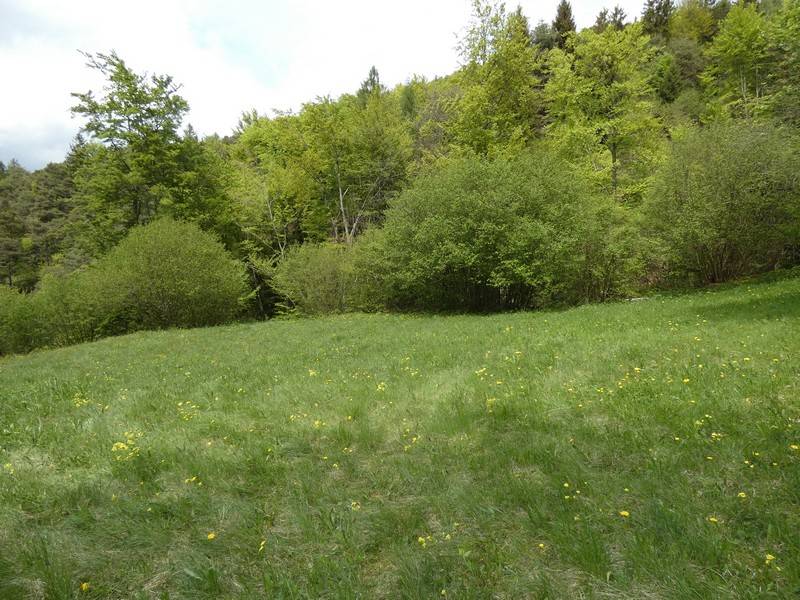 Rustico - Casa da monte in vendita a Pieve di Bono-Prezzo