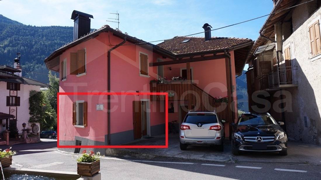 Appartamento 3Locale in vendita a Pelugo