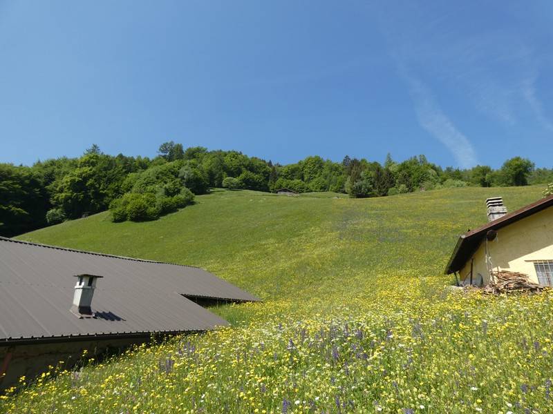 Porzione di Rustico in vendita a Pieve di Bono-Prezzo