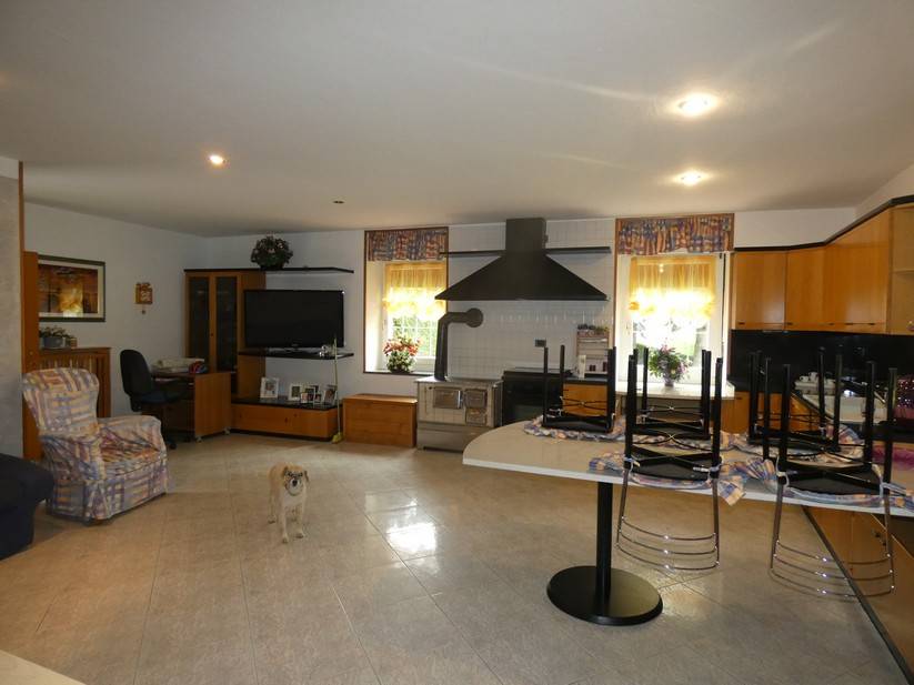 Appartamento 4Locale in vendita a Sella Giudicarie