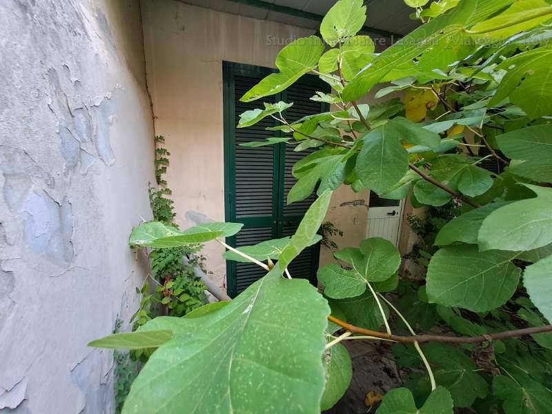 Villa e depandance in vendita a Viareggio, Centro