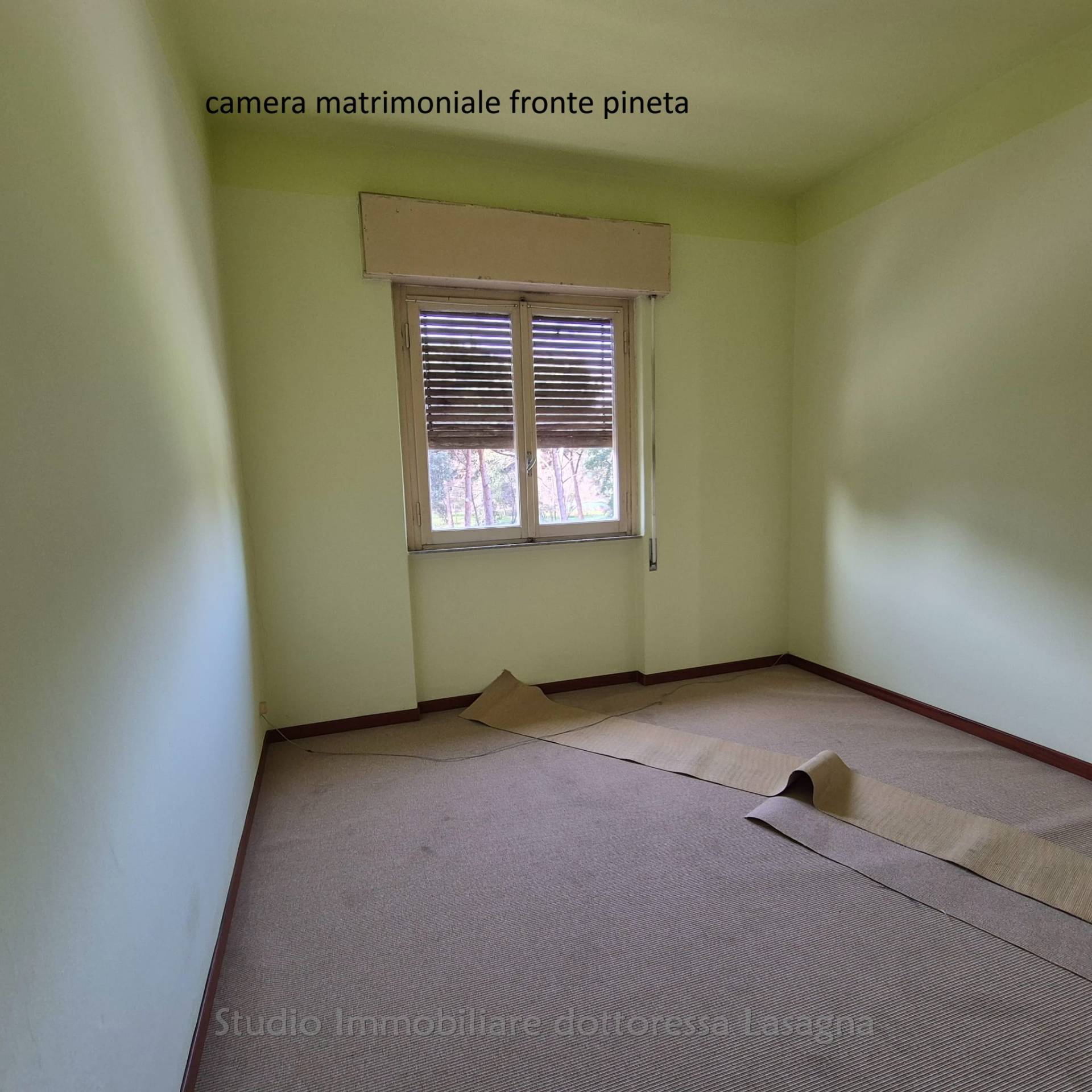 Appartamento non in Condominio in vendita a Viareggio, Centro