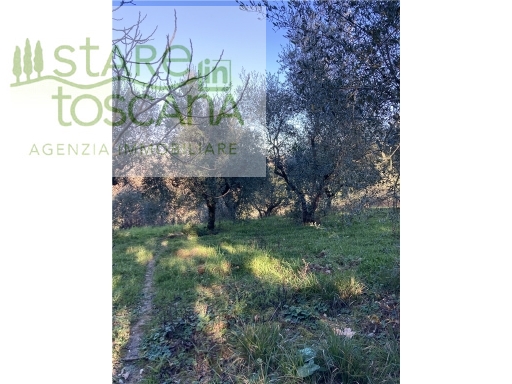 Terreno in vendita, Montespertoli la ripa