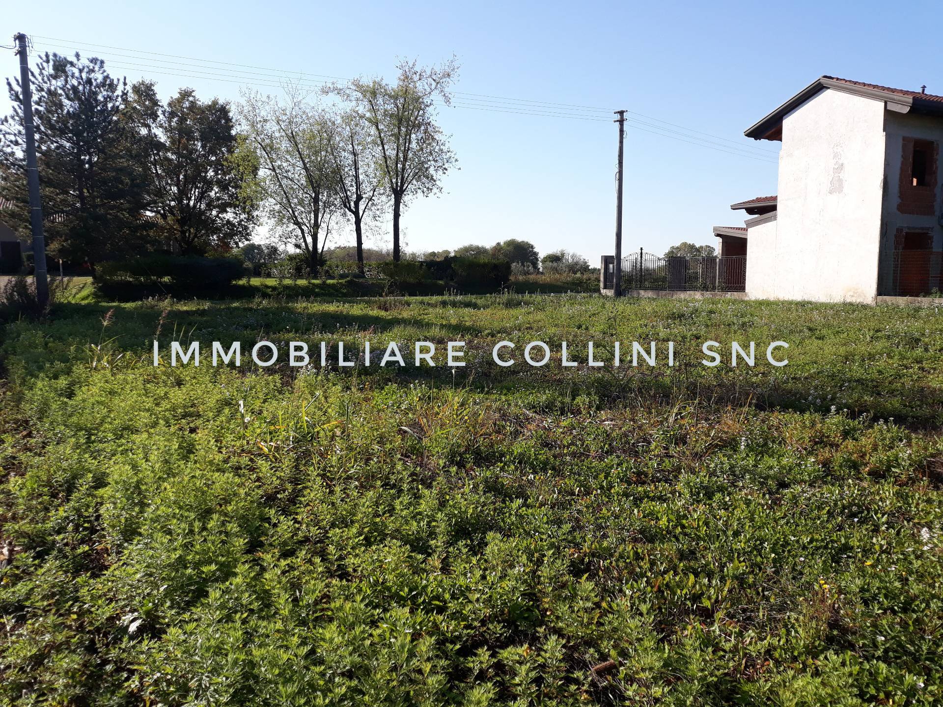 immagine annuncio 4 di 6