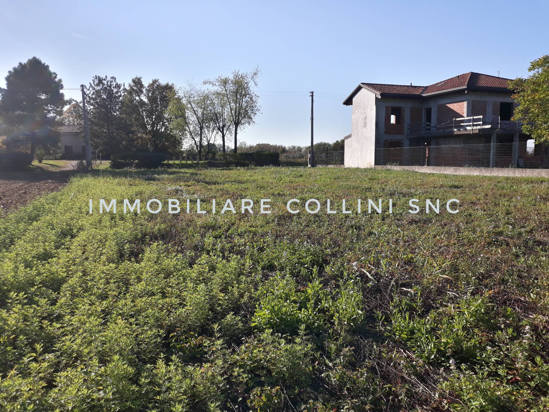 immagine annuncio 5 di 6