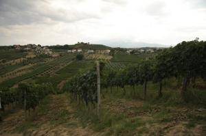 Terreno Agricolo in vendita a Torrevecchia Teatina