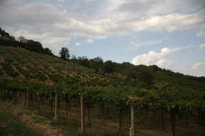 Terreno Agricolo in vendita a Torrevecchia Teatina