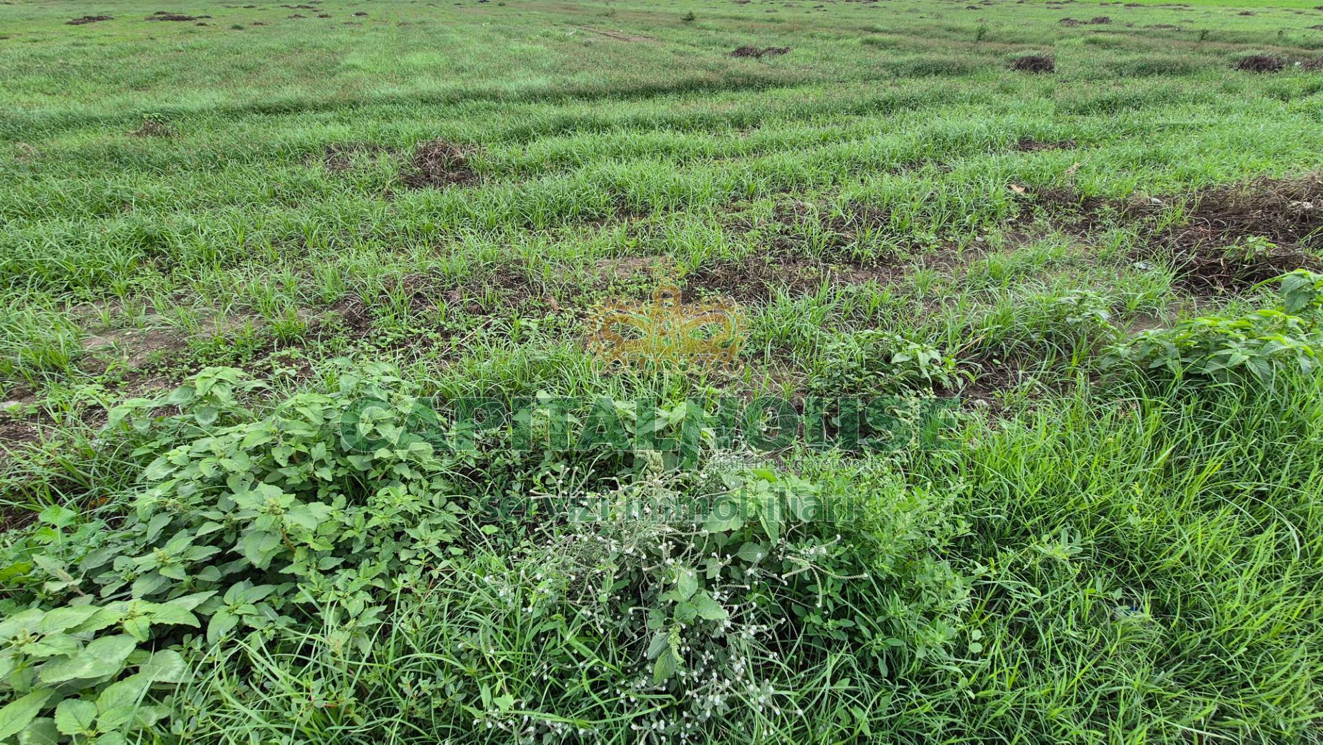 Terreno in vendita a Macerata Campania