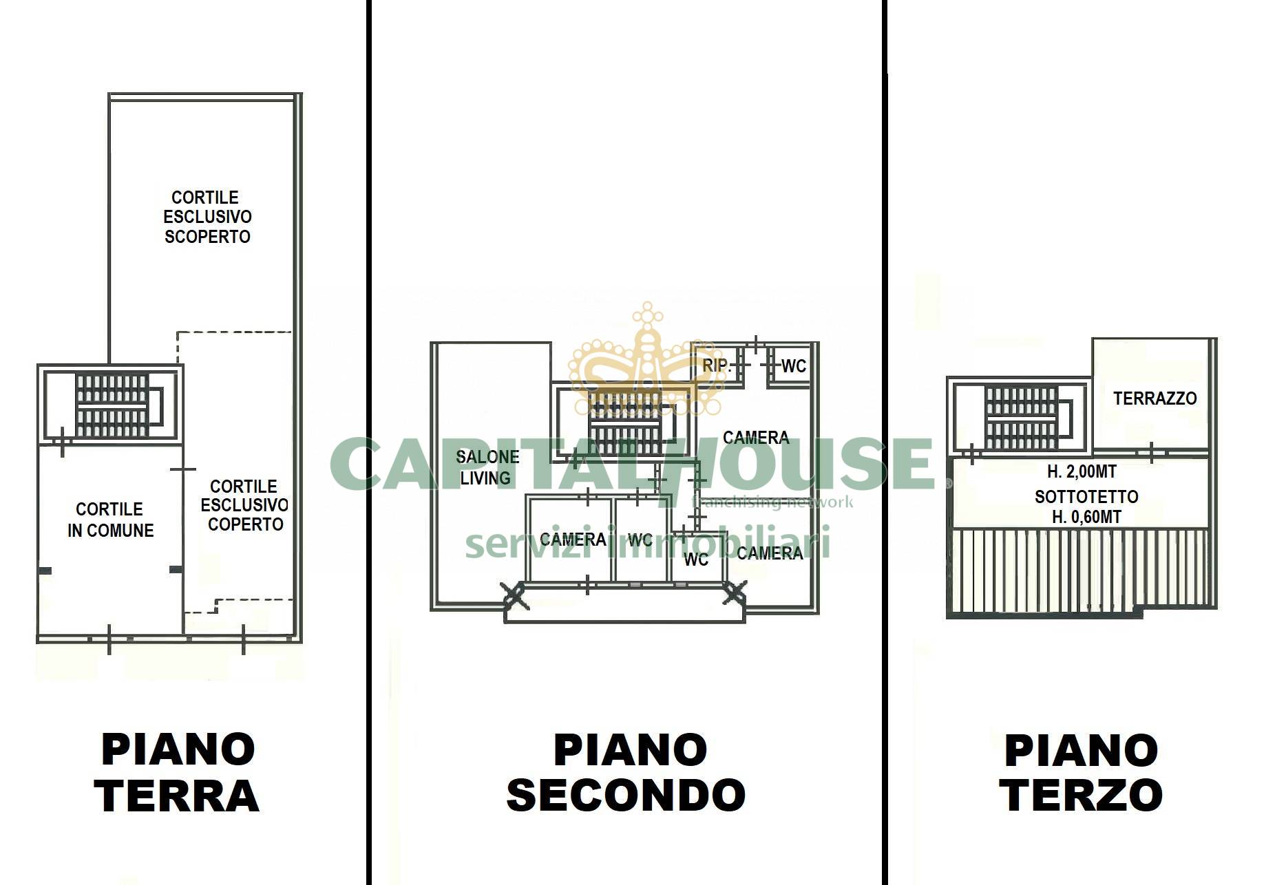 immagine annuncio 1 di 6