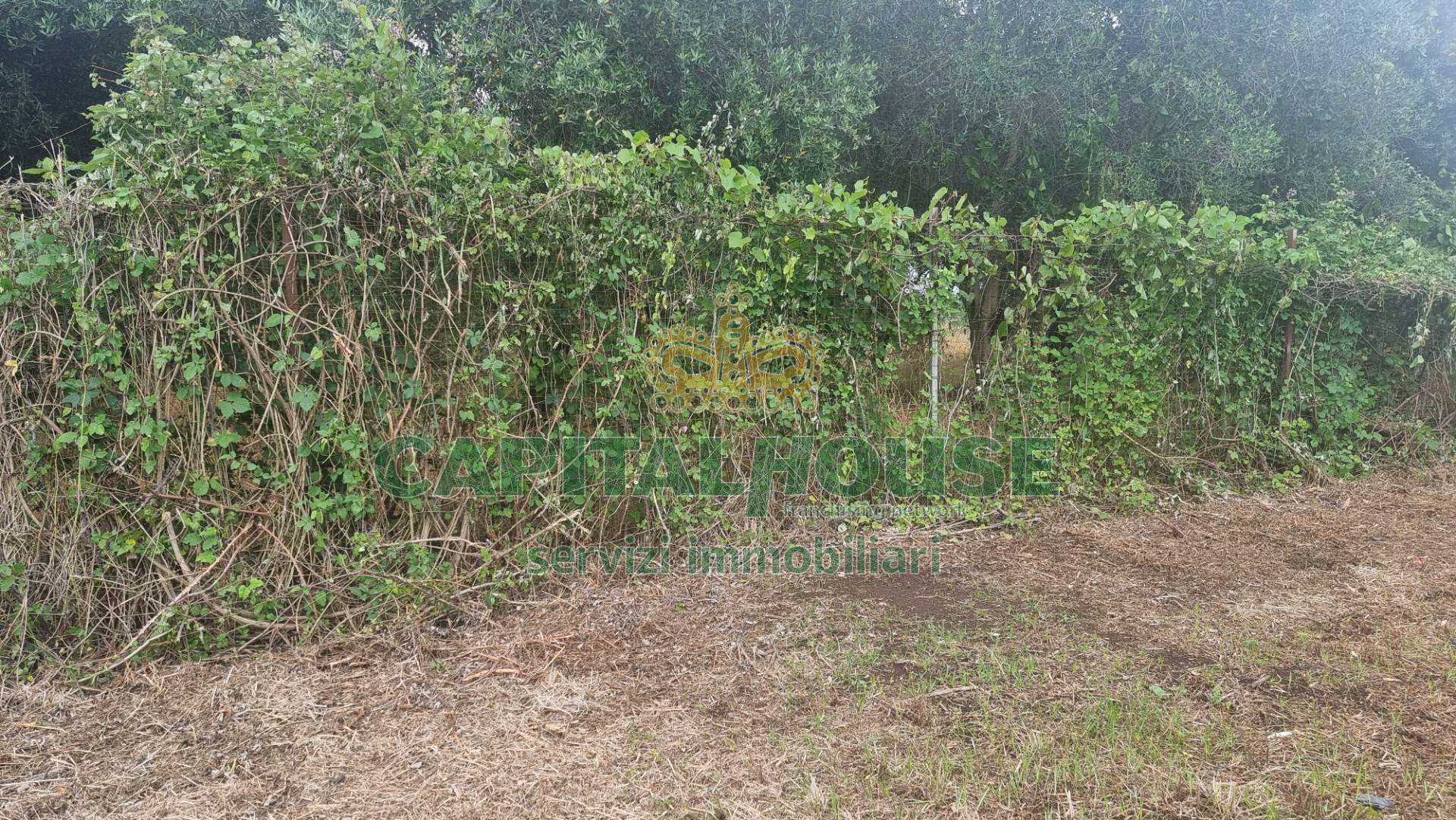 Terreno edificabile in vendita a Portico di Caserta