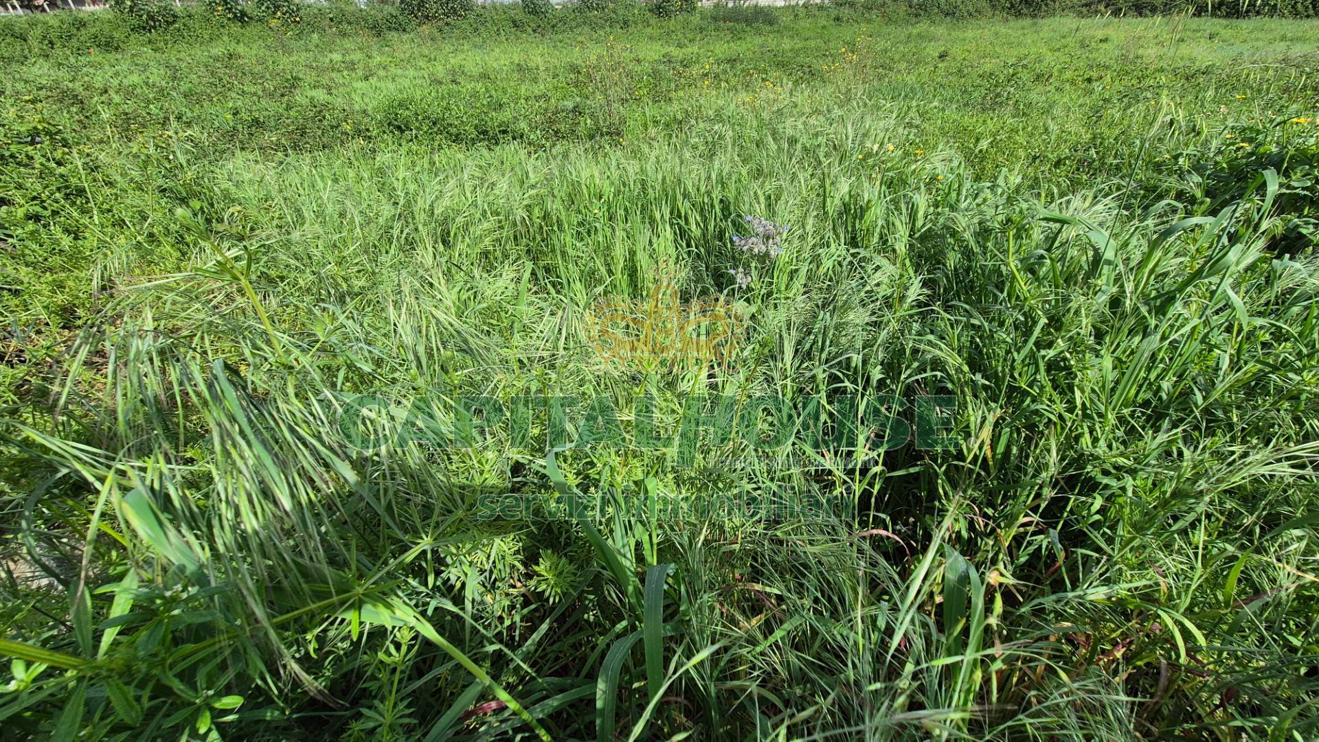 Terreno agricolo in vendita a Recale