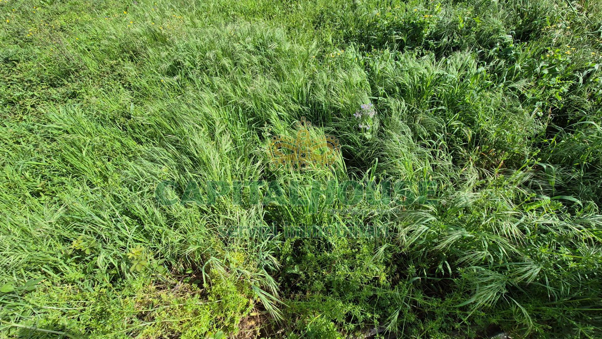 Terreno agricolo in vendita a Recale