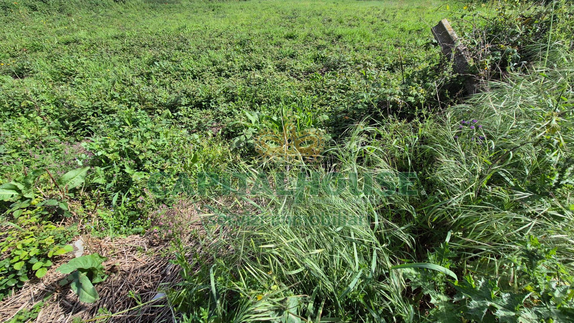 Terreno agricolo in vendita a Recale