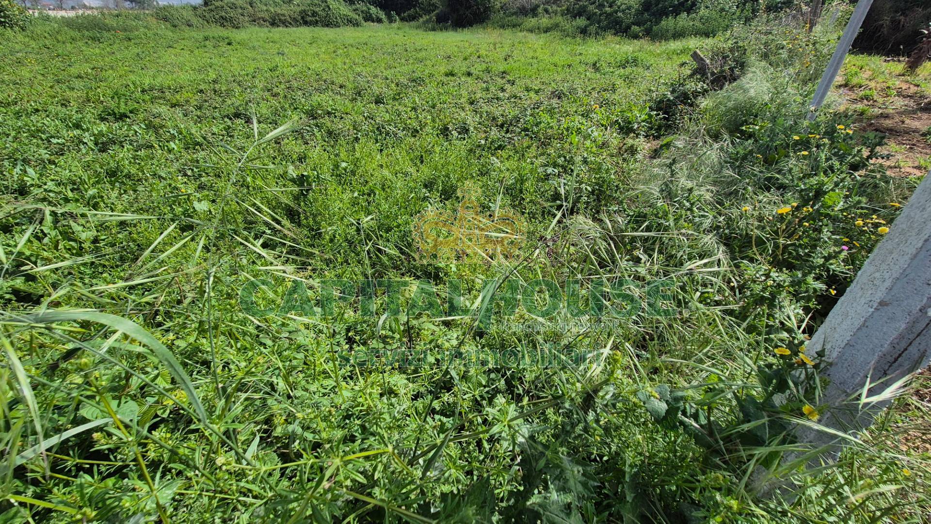 Terreno agricolo in vendita a Recale
