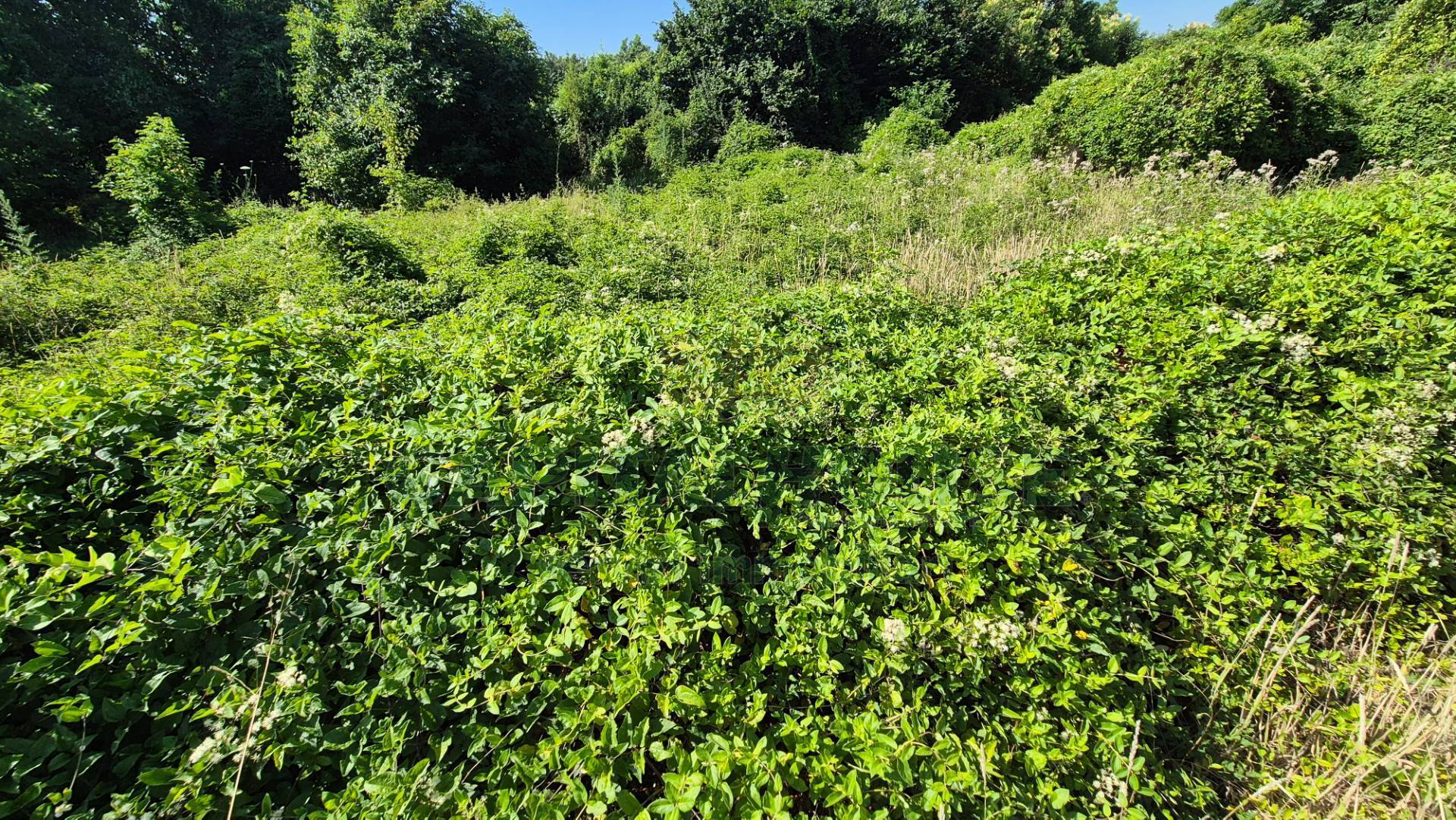 Terreno agricolo in vendita a Marcianise