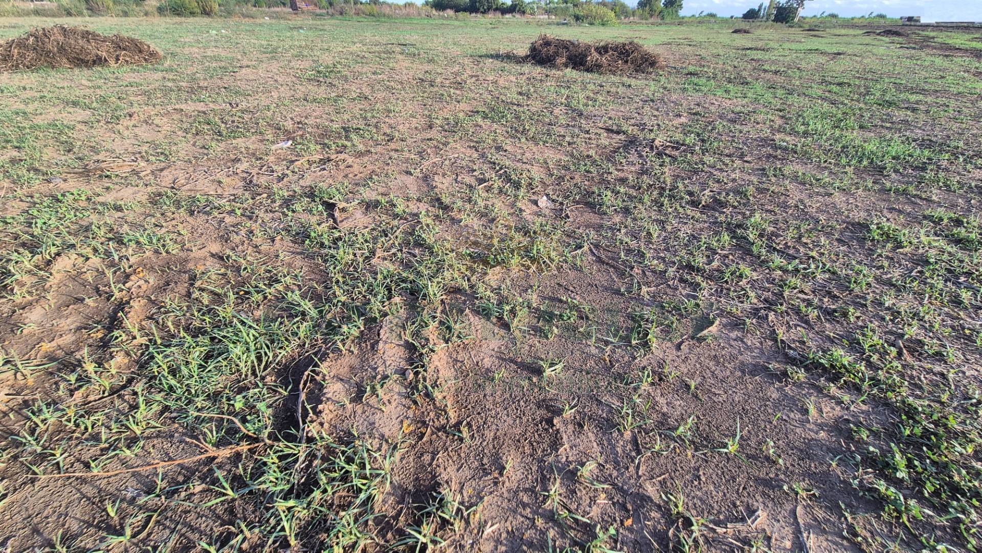 Terreno Artigianale/Commerciale in vendita a Macerata Campania