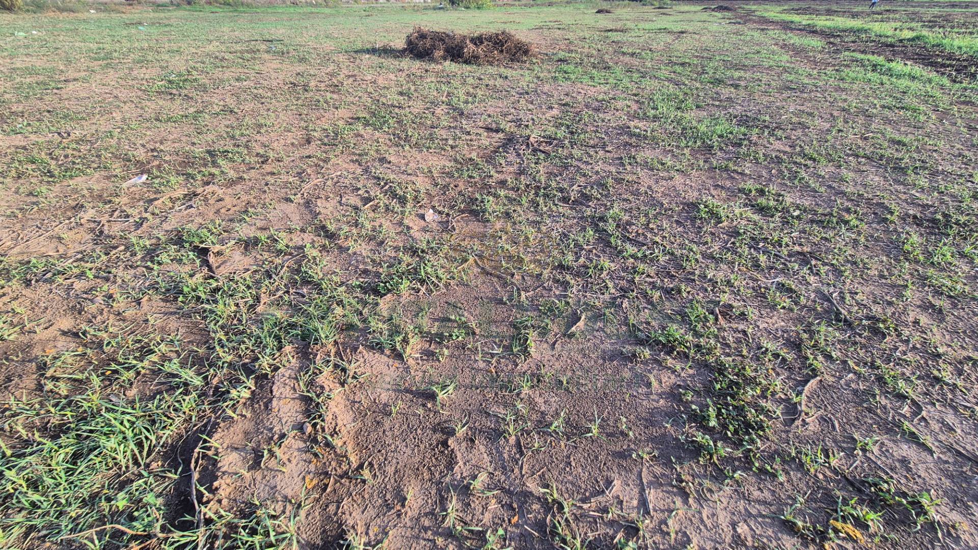 Terreno Artigianale/Commerciale in vendita a Macerata Campania