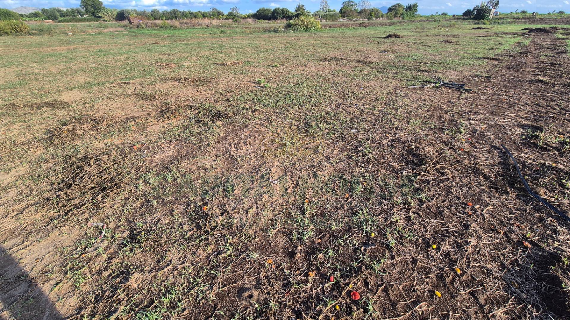 Terreno Artigianale/Commerciale in vendita a Macerata Campania