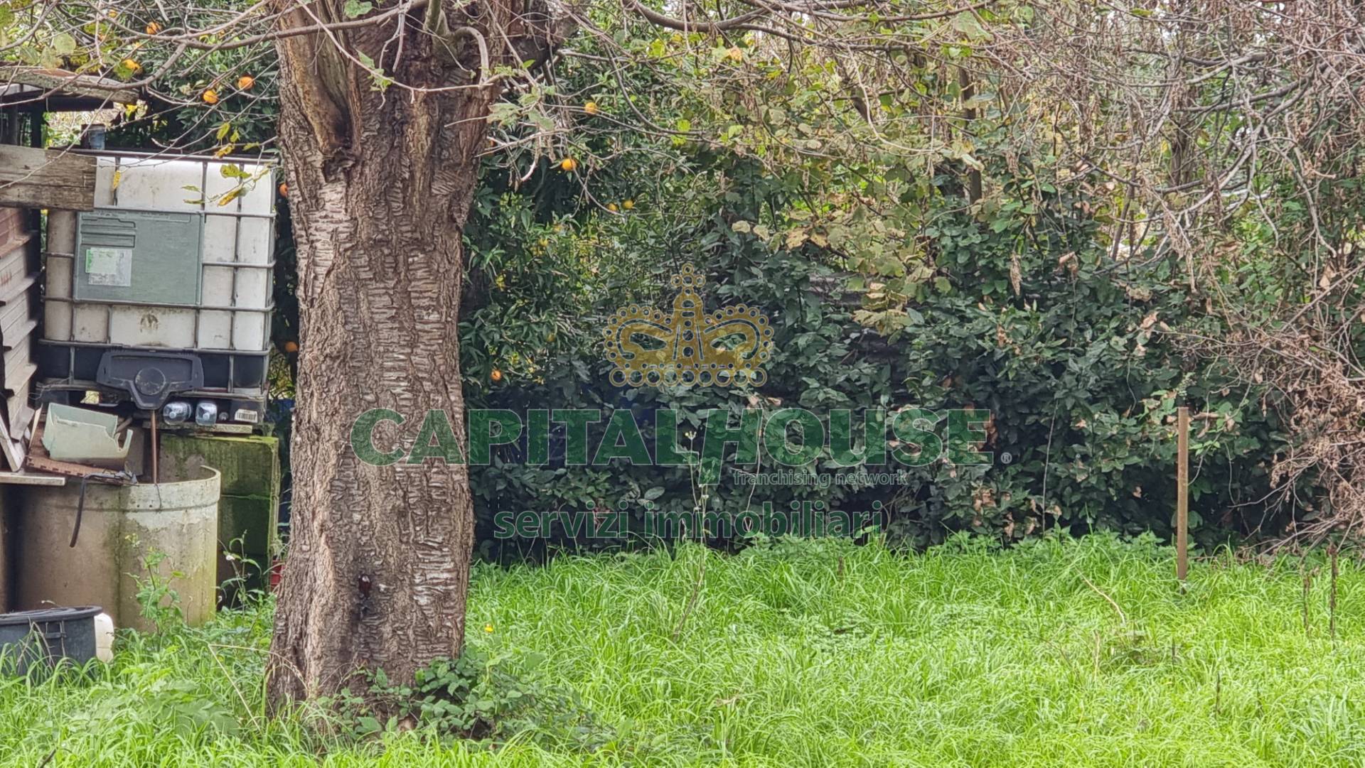 Terreno agricolo in vendita a Marcianise