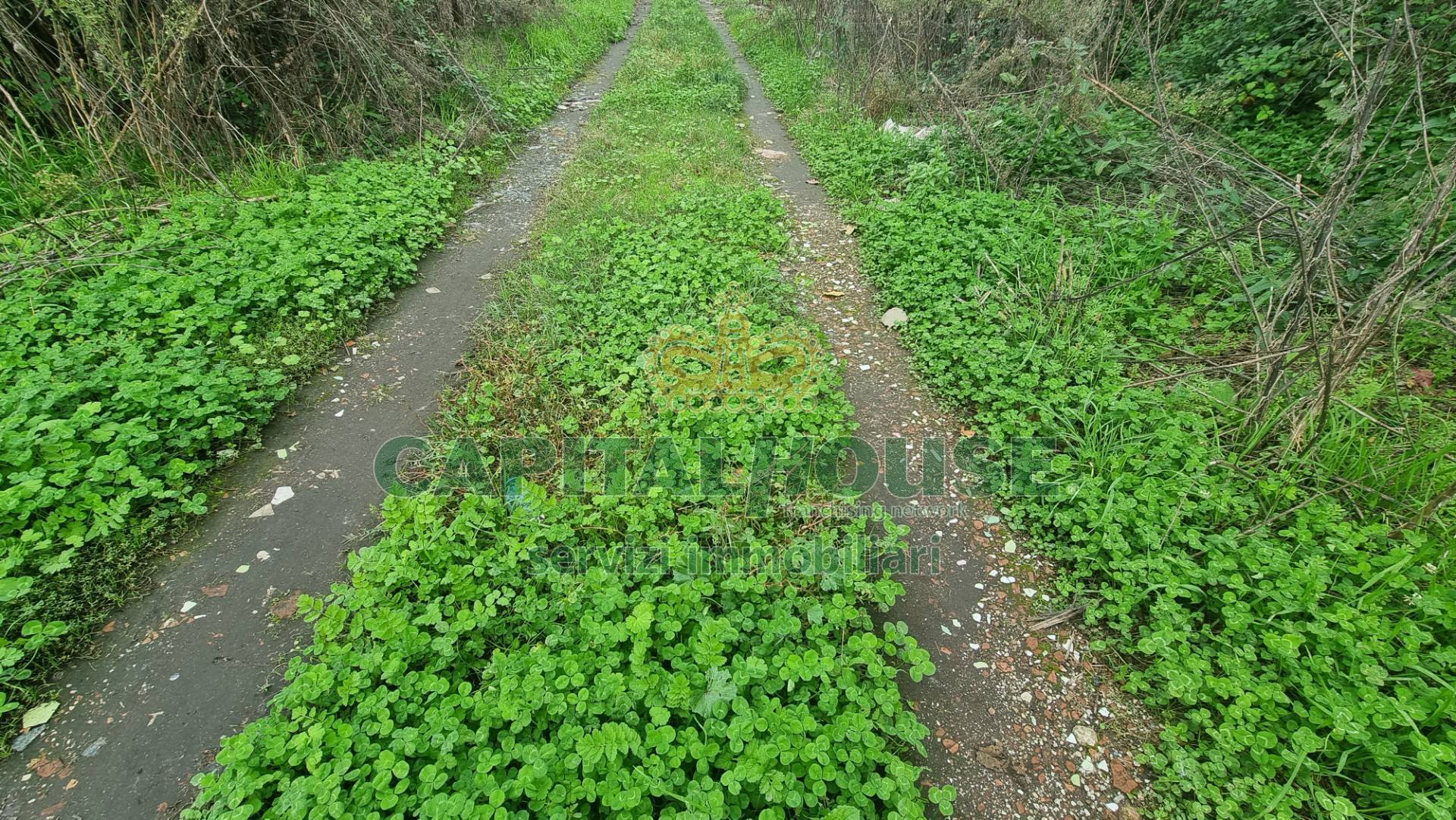 Terreno agricolo in vendita a Marcianise
