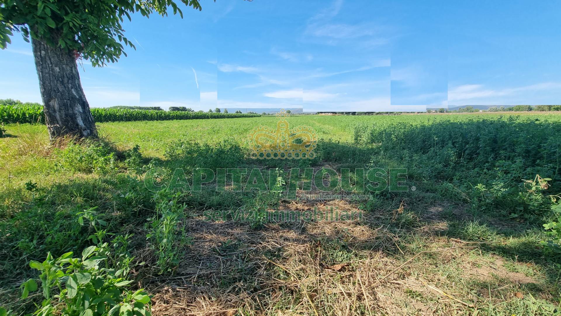 Terreno agricolo in vendita a Marcianise