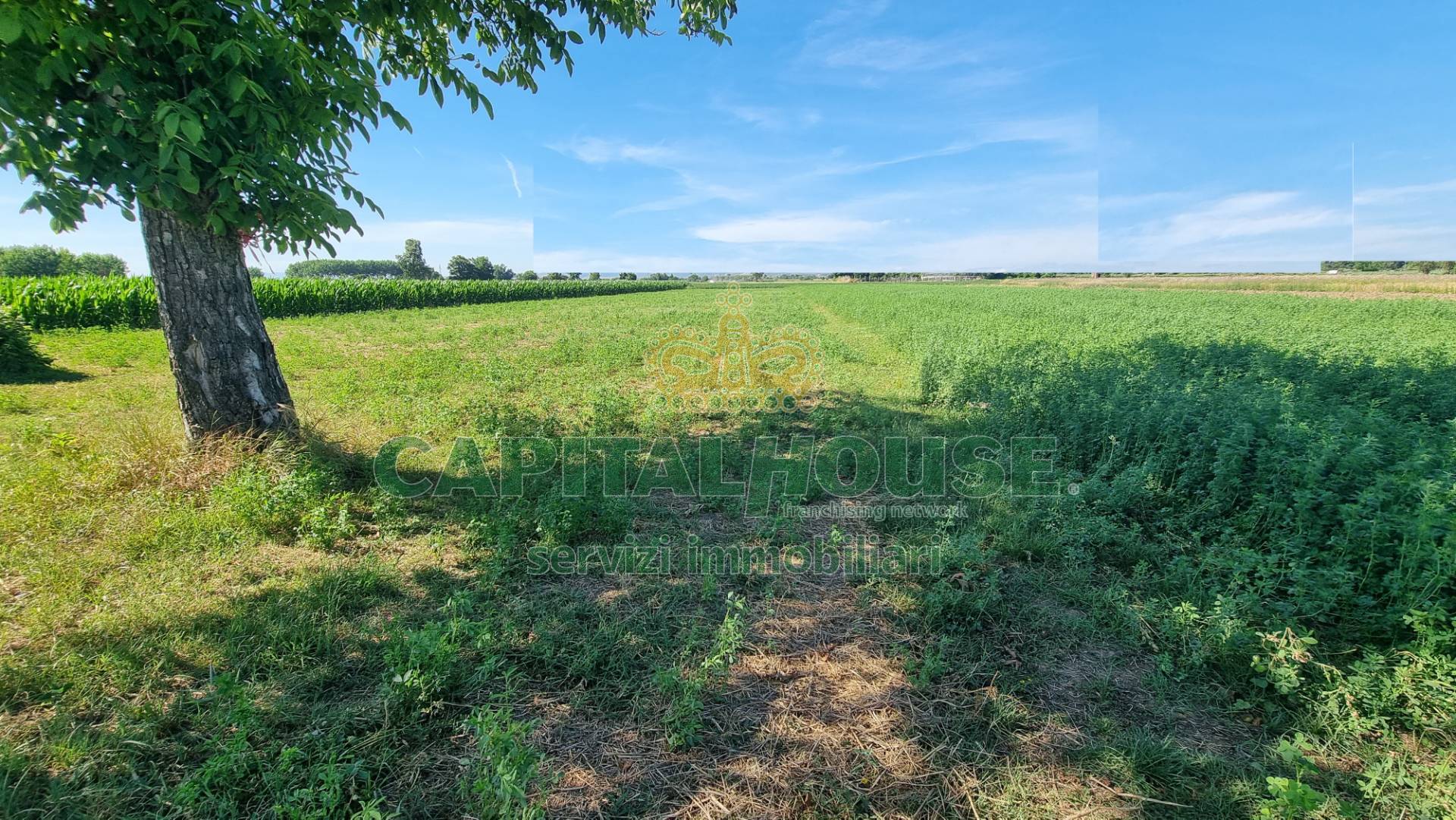 Terreno agricolo in vendita a Marcianise