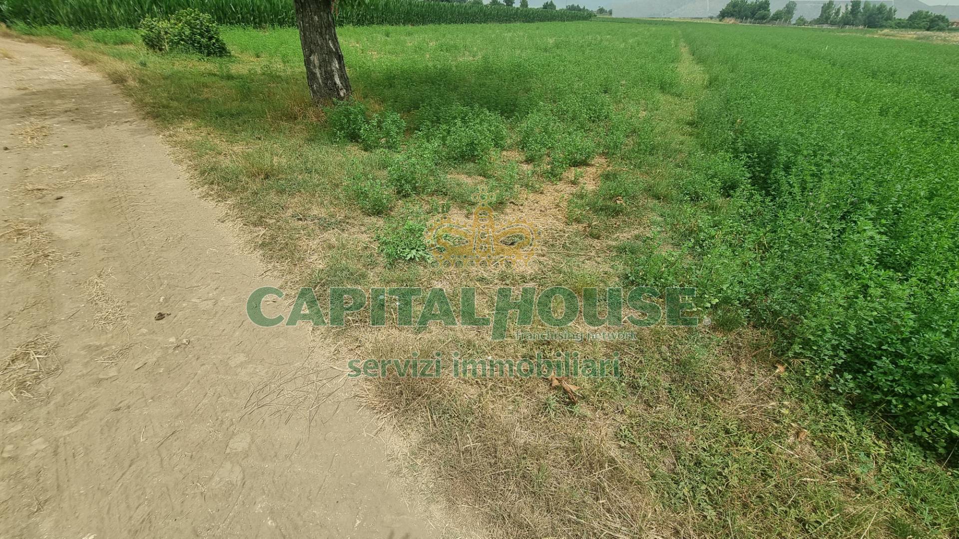 Terreno agricolo in vendita a Marcianise