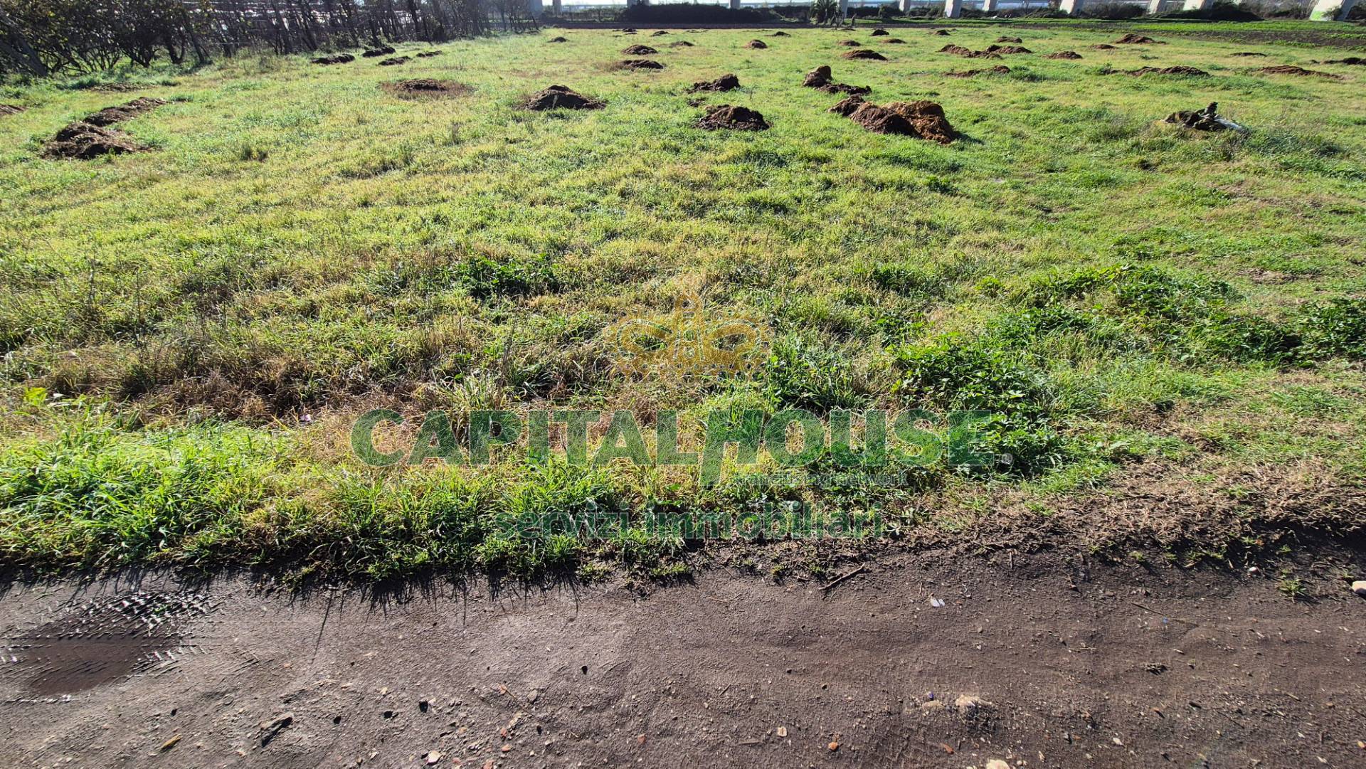Terreno agricolo in vendita a Marcianise