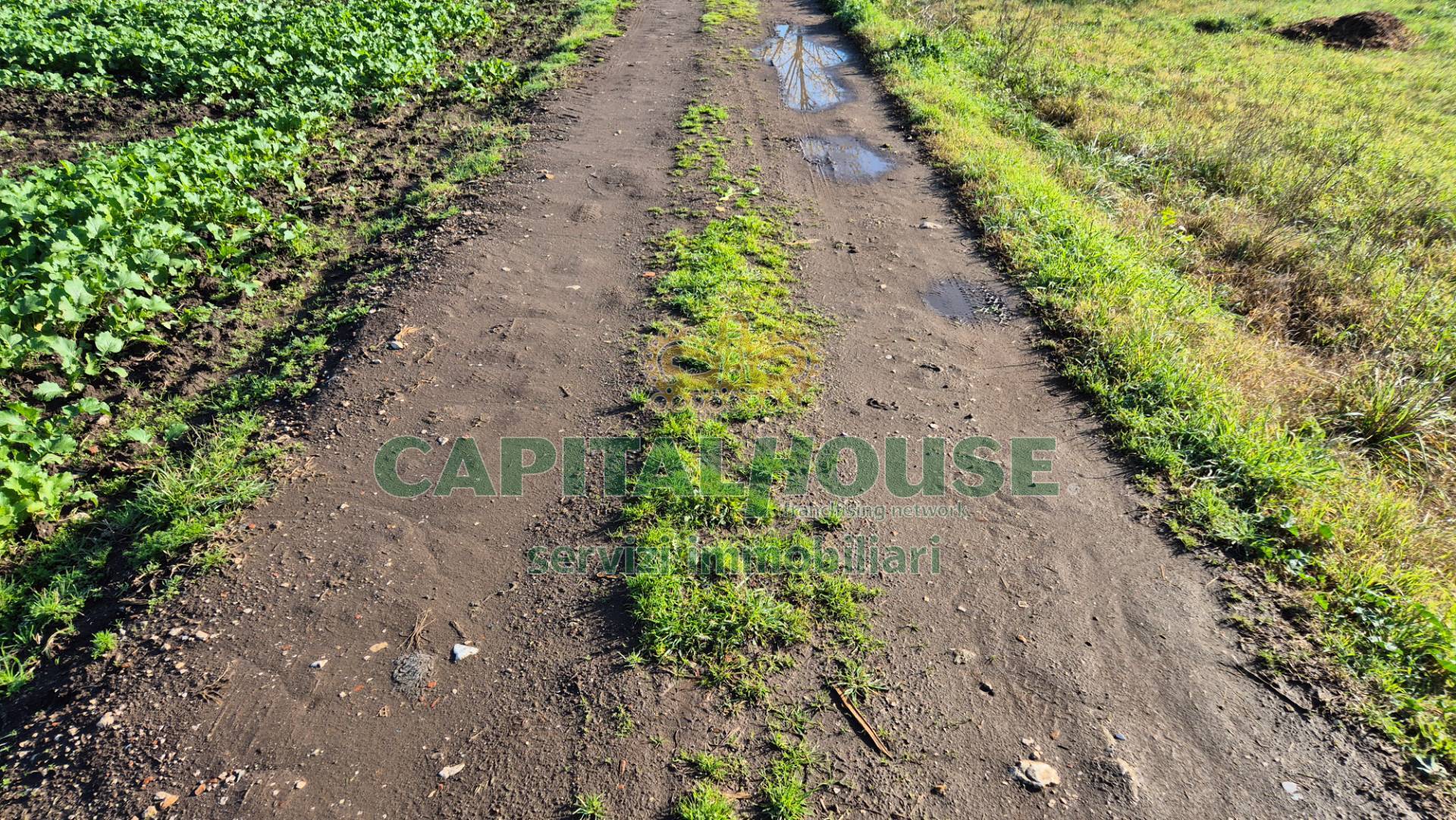 Terreno agricolo in vendita a Marcianise