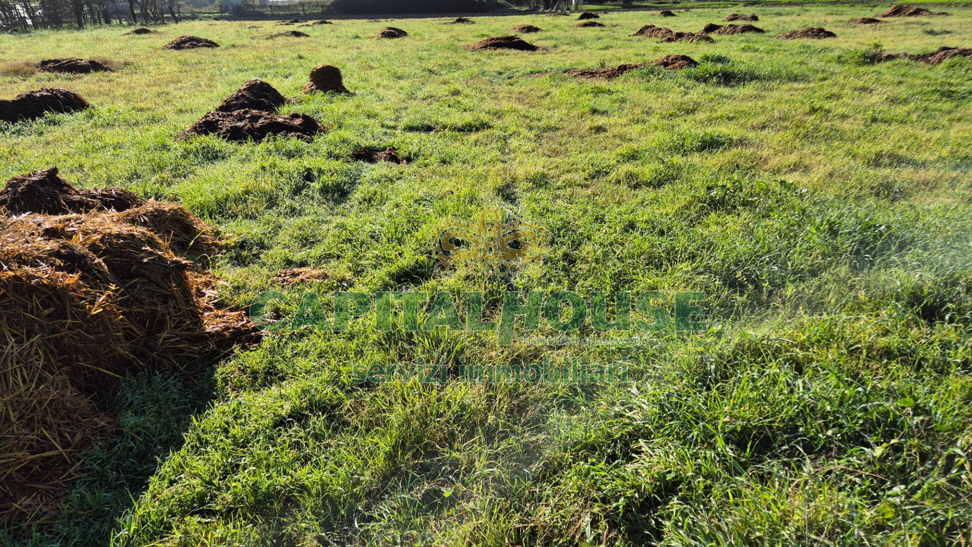 Terreno agricolo in vendita a Marcianise