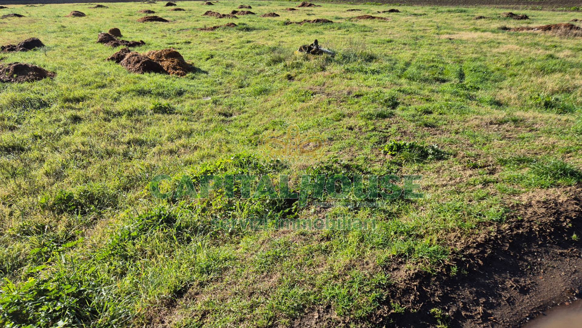 Terreno agricolo in vendita a Marcianise