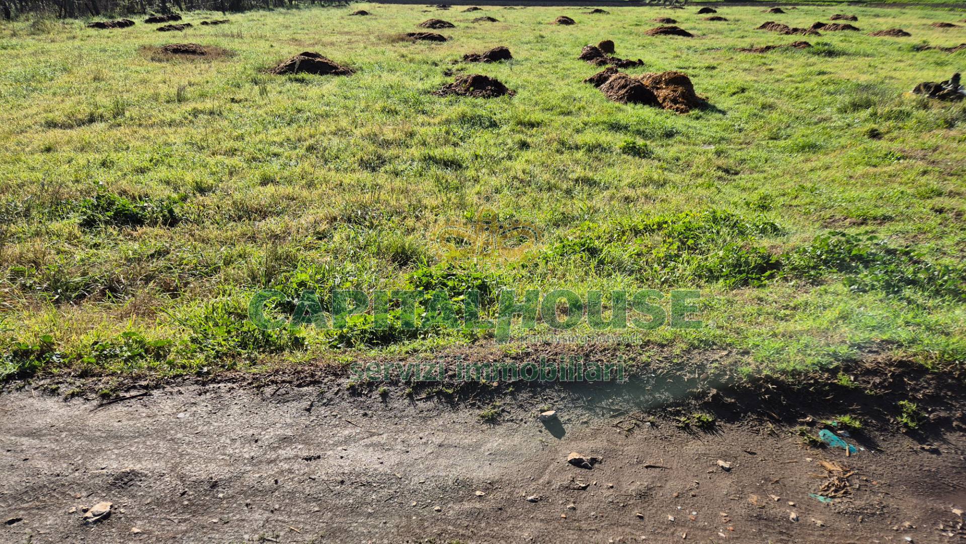 Terreno agricolo in vendita a Marcianise