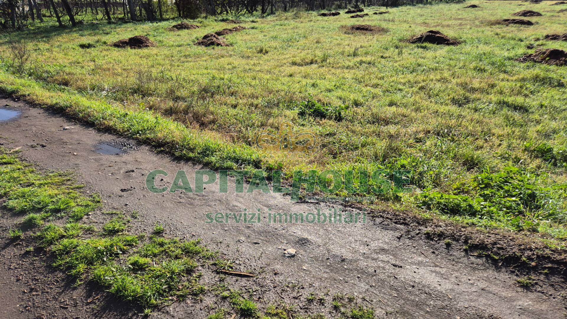 Terreno agricolo in vendita a Marcianise