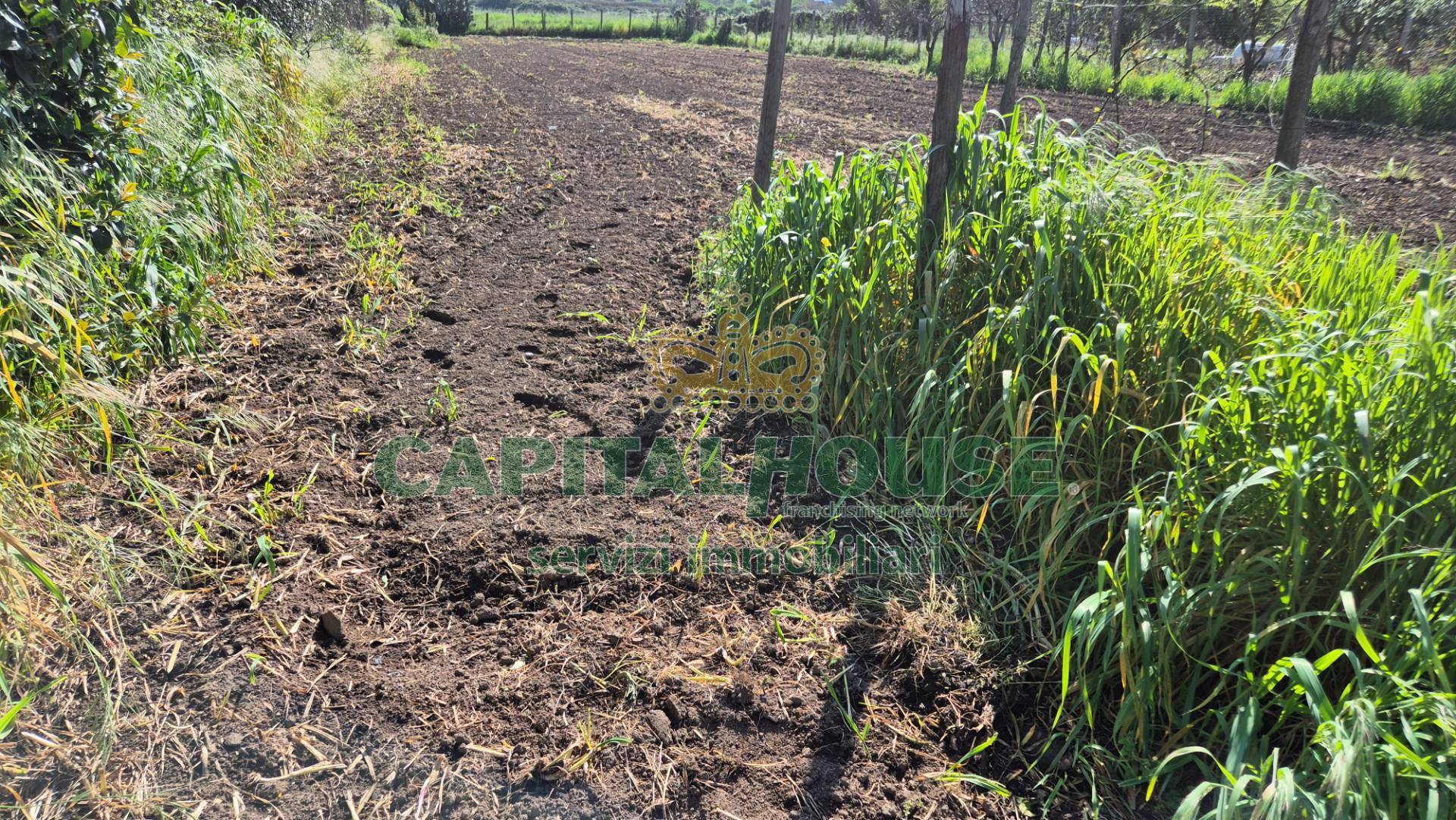 Terreno agricolo in vendita a Recale