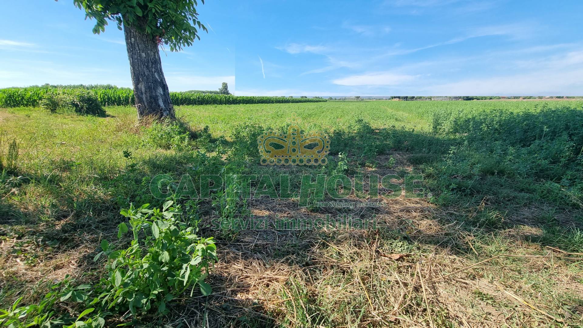 Terreno agricolo in vendita a Marcianise