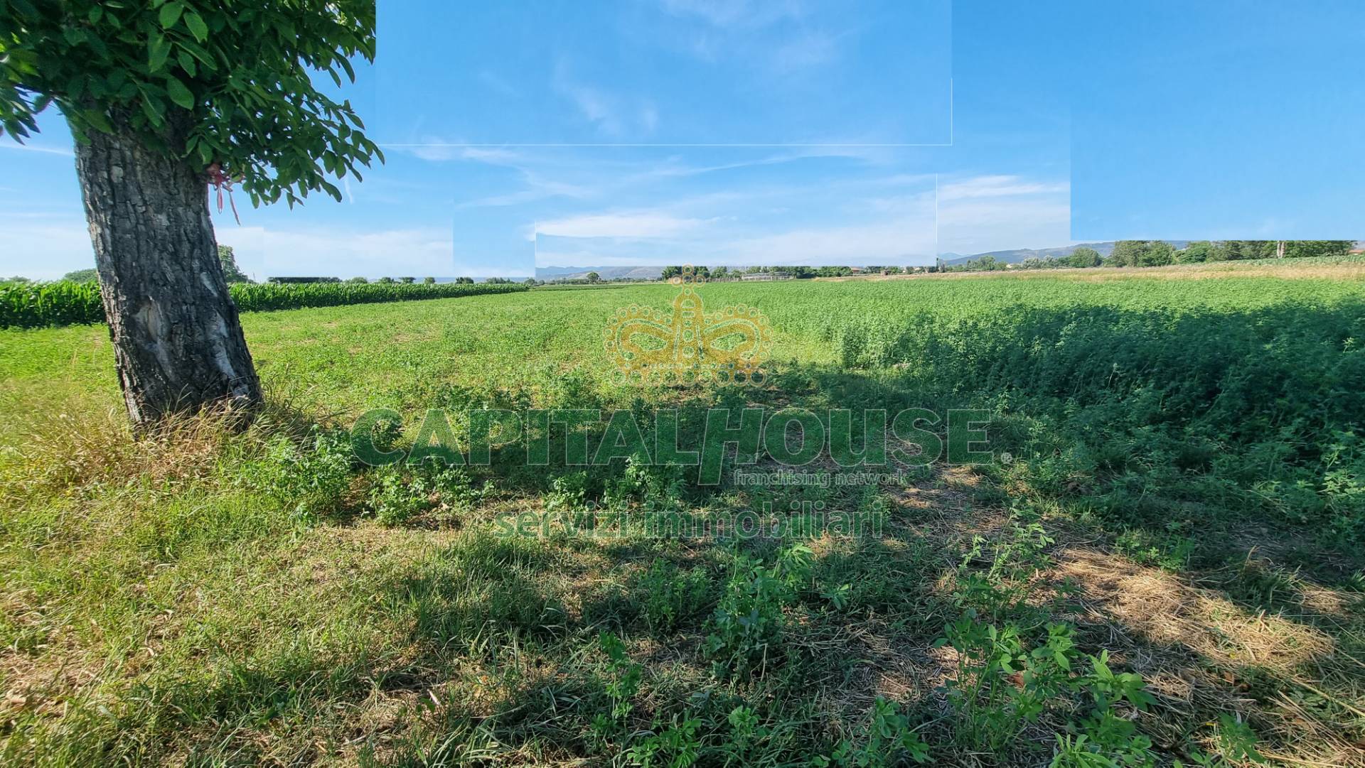 Terreno agricolo in vendita a Marcianise