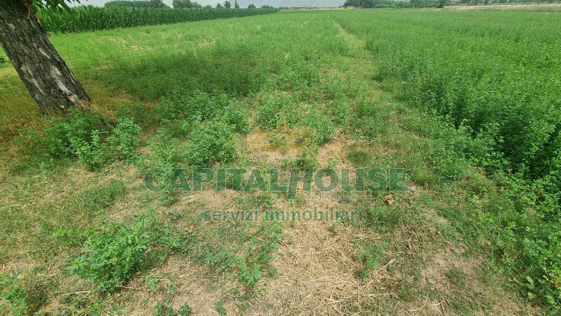 Terreno agricolo in vendita a Marcianise