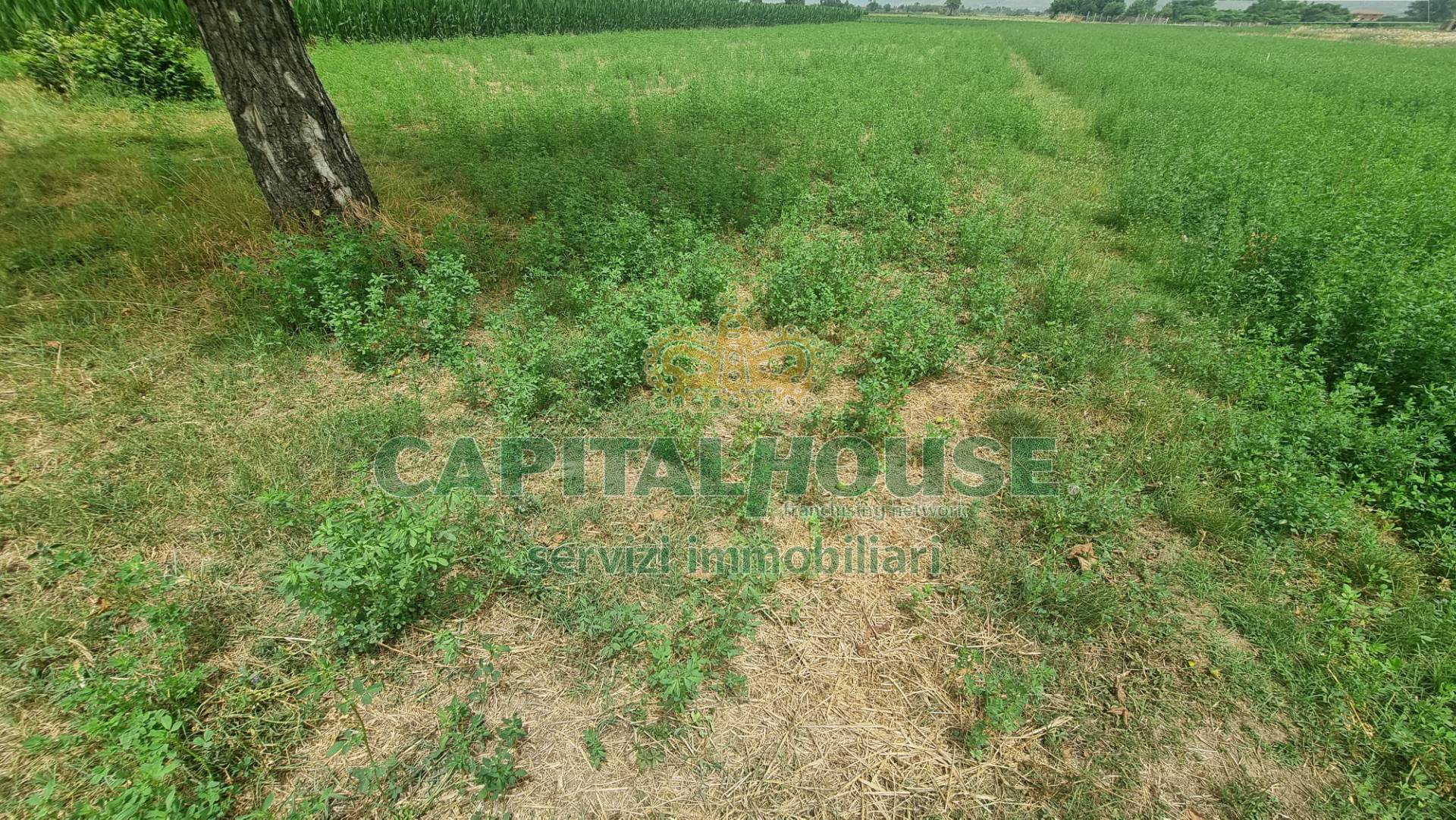Terreno agricolo in vendita a Marcianise